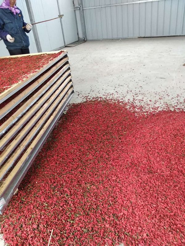 ��轺�əC(j��)