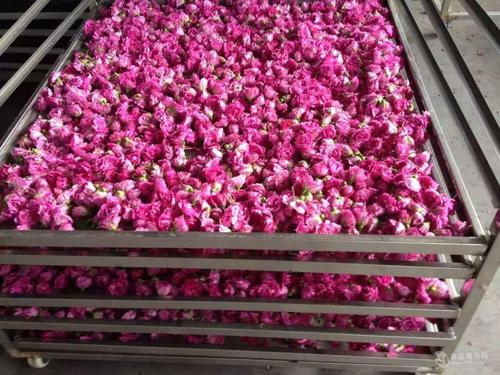 õ�廨��əC(j��) >