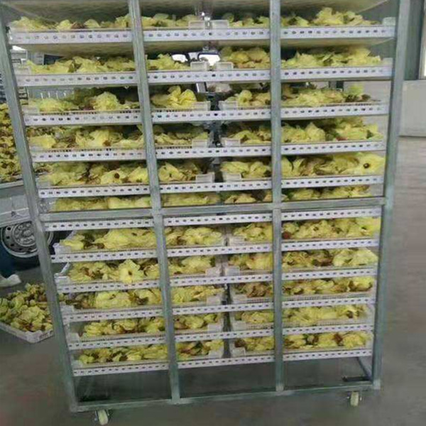 �S�����əC >