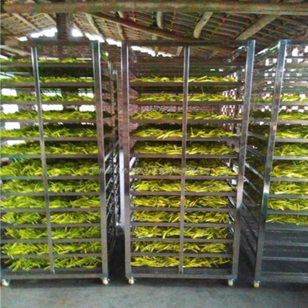 �S���˺�əC >