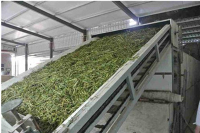 �W(w��ng)����əC