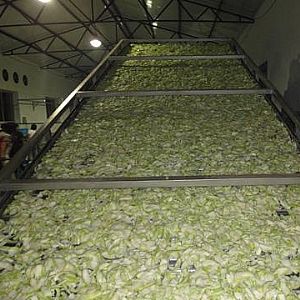 ɽ�|�͑��}����ɬF(xi��n)��