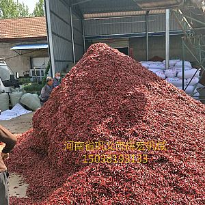 ���ϾW(w��ng)��ʽ������əC(j��)�F(xi��n)��