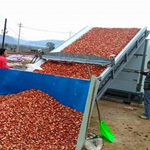 �W(w��ng)��ʽɽ髺�əC