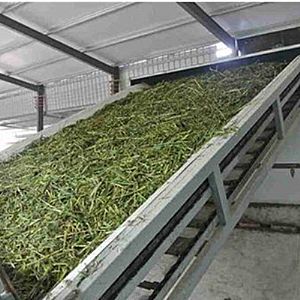 �W(w��ng)��ʽ���ݺ�əC