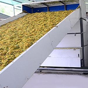 �W(w��ng)��ʽ���y����əC