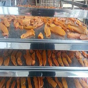 �t���ɺ�əC >