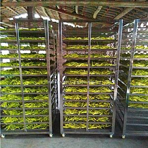 �S���˺�əC >